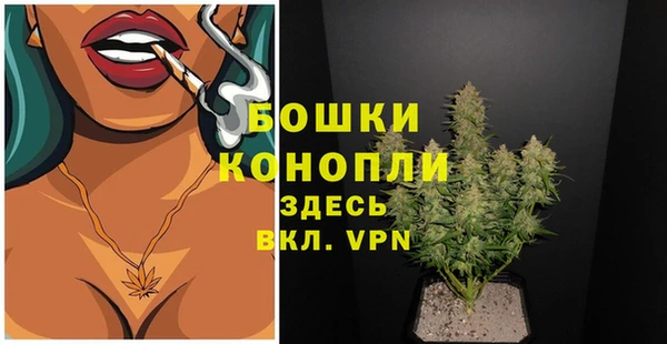 винт Осинники