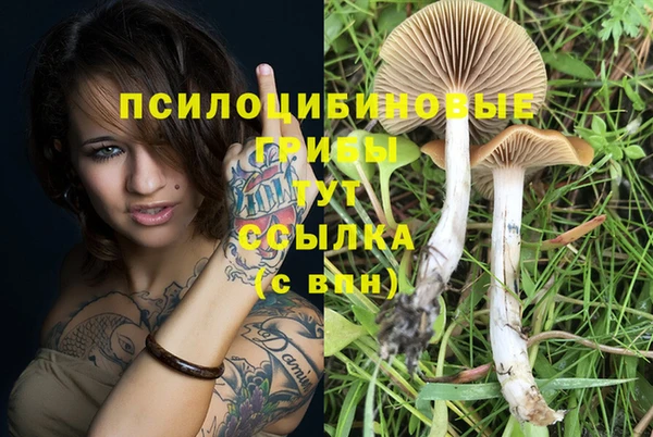 меф Осташков