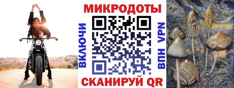 Псилоцибиновые грибы Psilocybe Нальчик