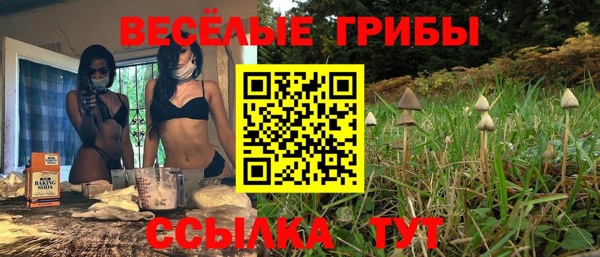 Псилоцибиновые грибы GOLDEN TEACHER Нальчик